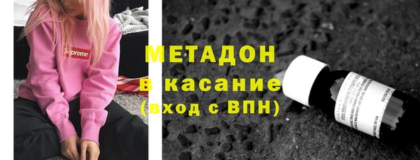 хмурый Аркадак