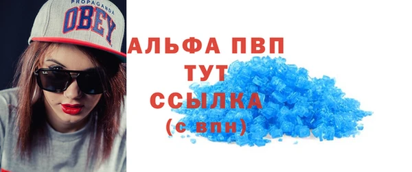 хмурый Аркадак