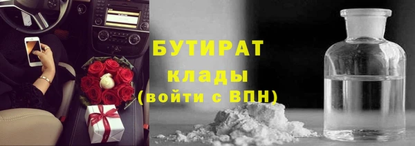 хмурый Аркадак