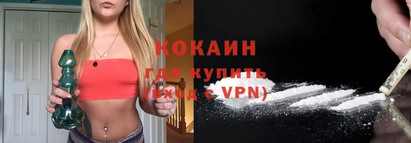 гидра Арсеньев