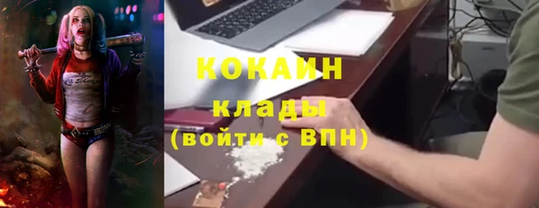 гидра Семилуки