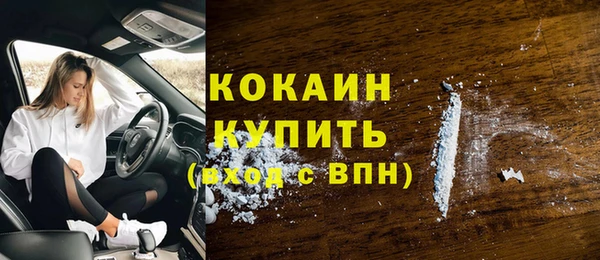 хмурый Аркадак