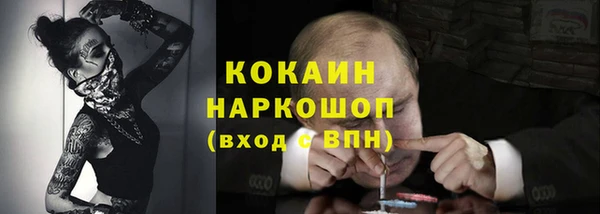 гидра Арсеньев