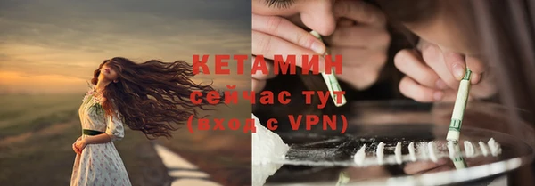 хмурый Аркадак