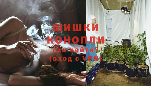 гидра Арсеньев