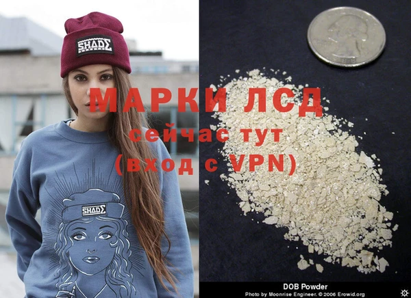 гидра Арсеньев