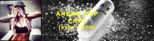 гидра Арсеньев