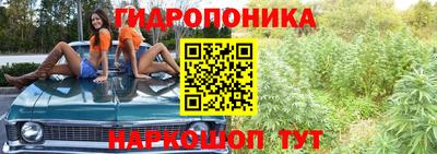 меф Гай