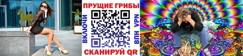 купить наркотик  Сосновый Бор  KRAKEN ТОР  Галлюциногенные грибы Psilocybe 