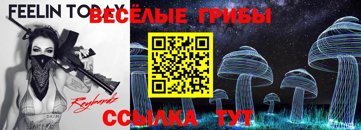 Сосновый Бор  Псилоцибиновые грибы мицелий  Галлюциногенные грибы мухоморы  Вход с VPN 