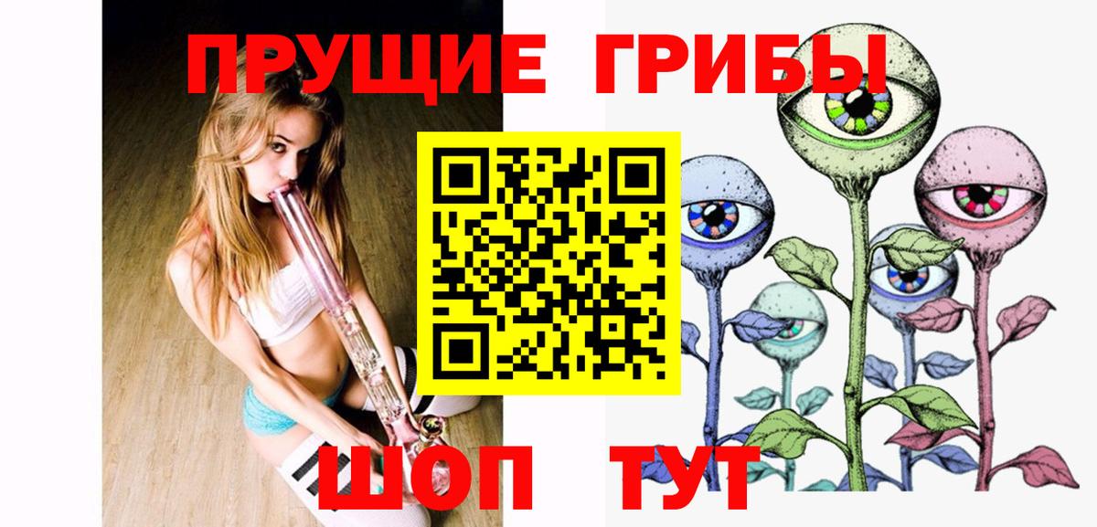 МЕФ Сосновый Бор