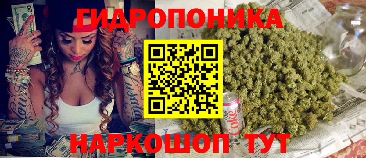 Бошки марихуана индика Сосновый Бор